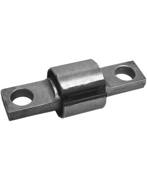 Elastic bearing