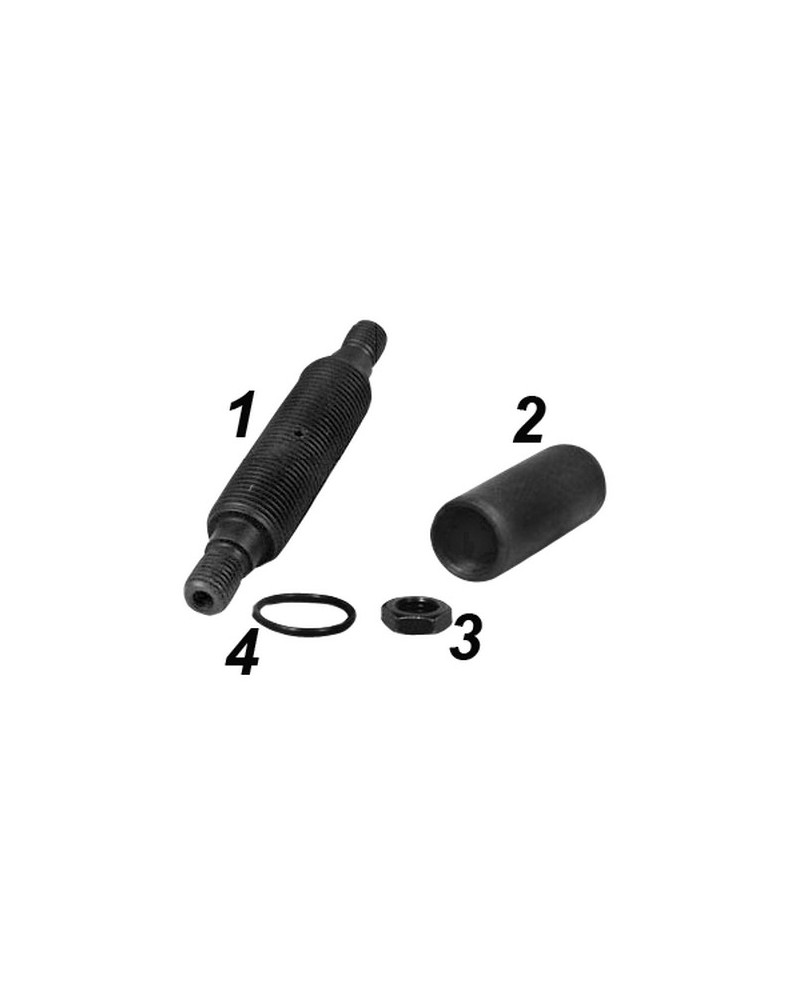 Repair kit spring