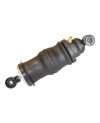 Air spring for cabin, rear