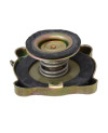 Cap, coolant reservoir