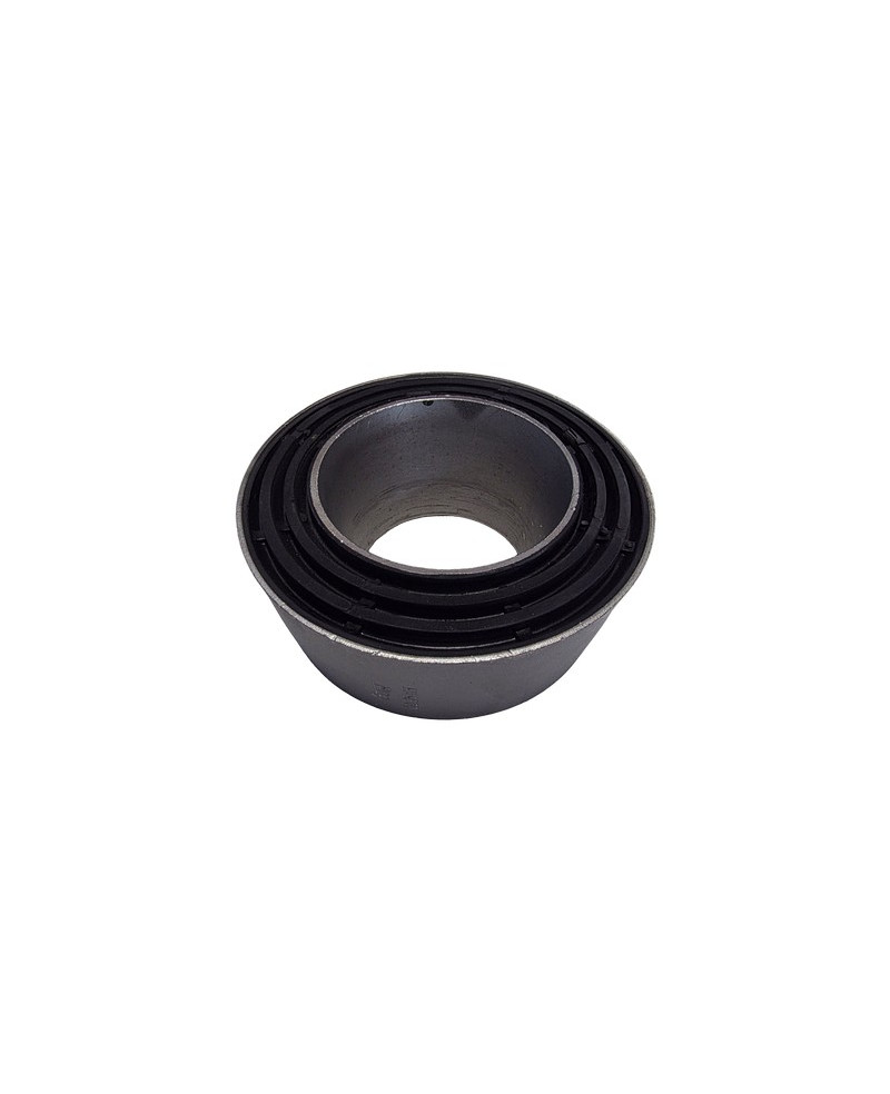 Conical bearing, leaf spring