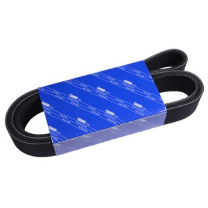 V-ribbed belt