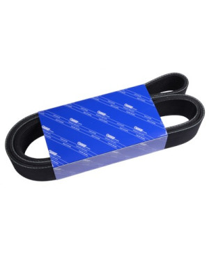 V-ribbed belt
