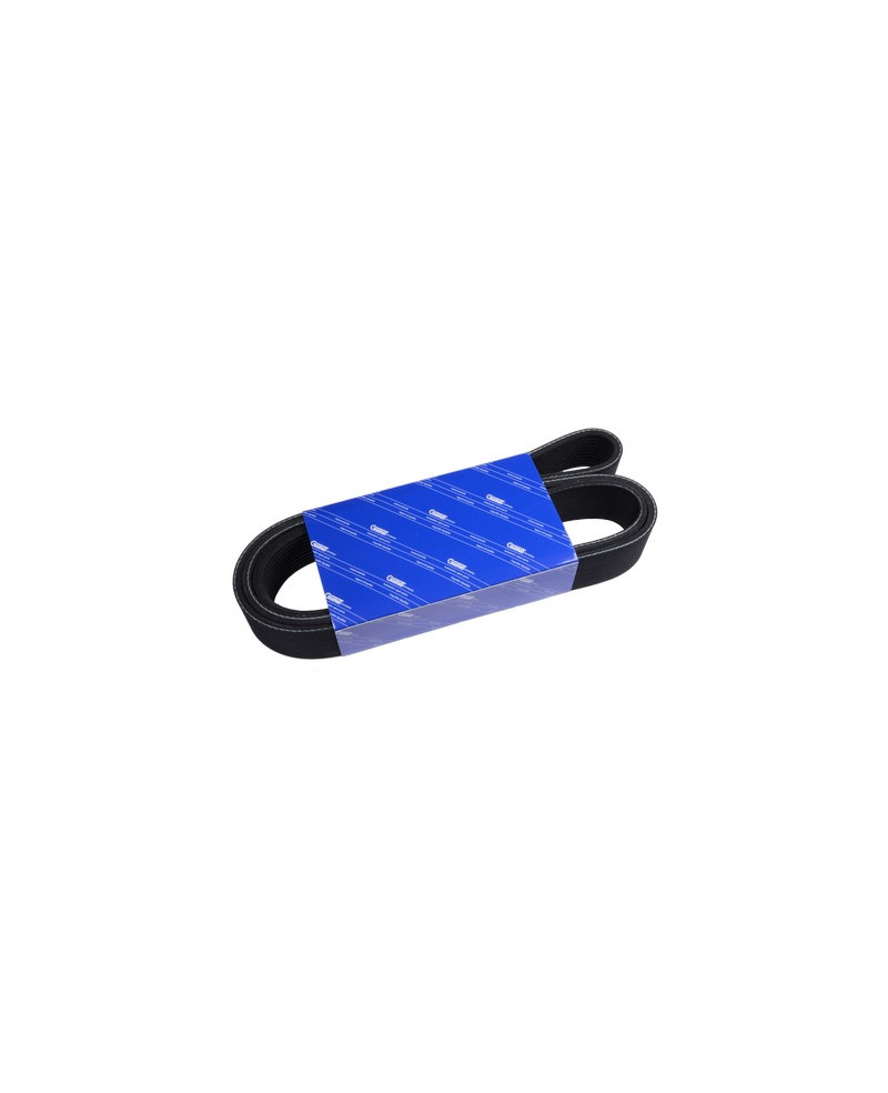 V-ribbed belt