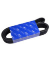 V-ribbed belt