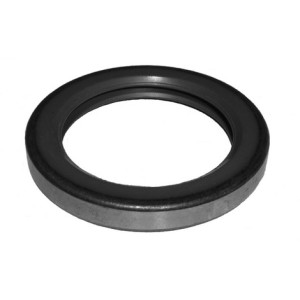 Oil seal