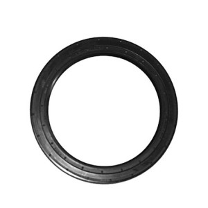 Oil seal