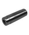 Fixing bolt