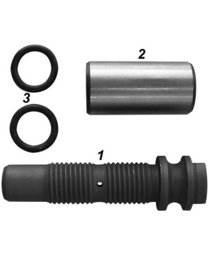 Repair kit for spring